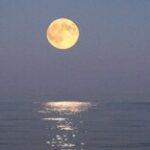 Profile photo of yakamoz